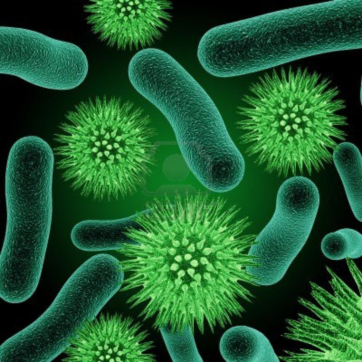 CGI Bacteria