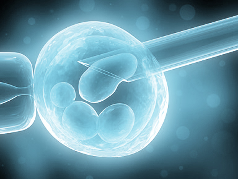 Artificial Insemination